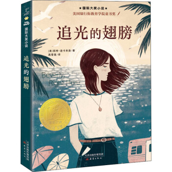 追光的翅膀 下载