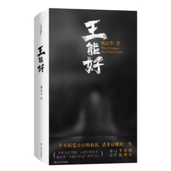王能好 （2022宝珀理想国文学奖总决选TOP5之一。法学教授罗翔最欣赏之作：“在《王能好》这部小说里，我看到了放大的闰土、放大的阿Q，也看到了我自己！） 下载