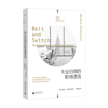 理想国纪实系列07：失业白领的职场漂流 下载