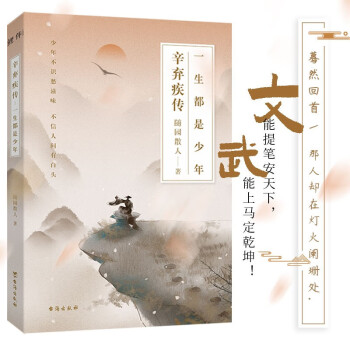 辛弃疾传：一生都是少年（在苟且的时代里,做一场不朽的英雄梦 。文能提笔安天下，武能上马定乾坤！） 下载