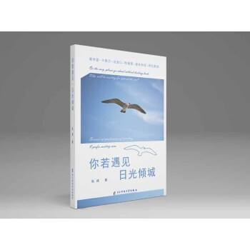 你若遇见，日光倾城 下载