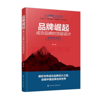 品牌崛起：成功品牌的顶层设计 下载