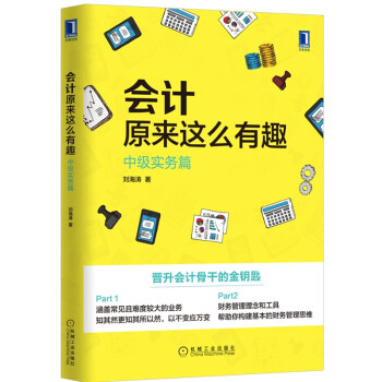 会计原来这么有趣：中级实务篇 下载