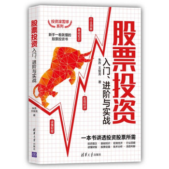 股票投资入门、进阶与实战（投资滚雪球系列） 下载