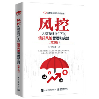 风控――大数据时代下的信贷风险管理和实践（第2版） 下载