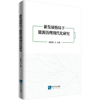 新发展格局下能源治理现代化研究 下载