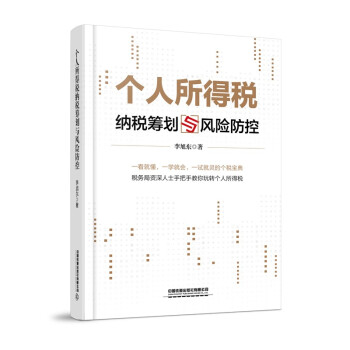 个人所得税纳税筹划与风险防控 下载