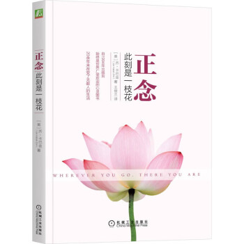 正念：此刻是一枝花 下载