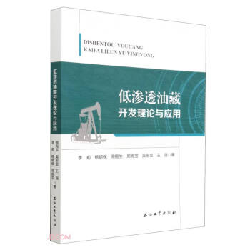 低渗透油藏开发理论与应用 下载