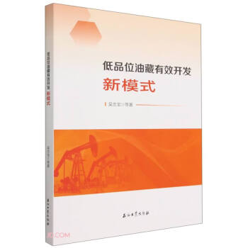 低品位油藏有效开发新模式 下载
