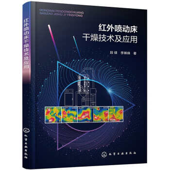红外喷动床干燥技术及应用 下载