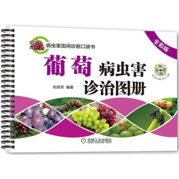 葡萄病虫害诊治图册（全彩版） 下载