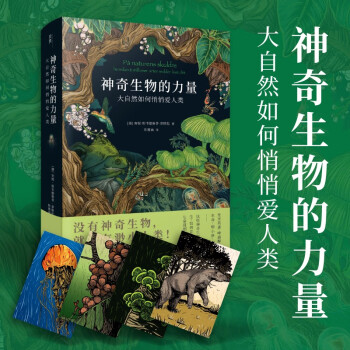 【贝页】神奇生物的力量：大自然如何悄悄爱人类 一本探索人与自然、生态与物种多样性的入门之作 挪威生命科学大学教授新力作 下载