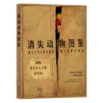 消失动物图鉴 下载