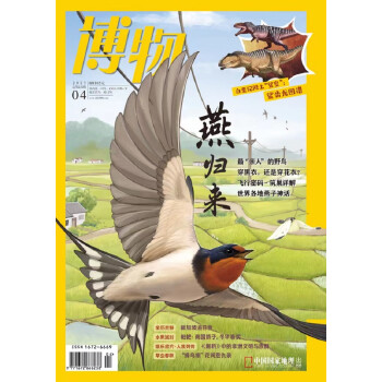 博物 2023年4月号 本期主题:燕归来 中国国家地理青春少年版 博物君式科普百科期刊 下载