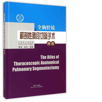 全胸腔镜解剖性肺段切除手术图谱 下载