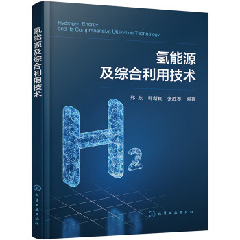 氢能源及综合利用技术 下载