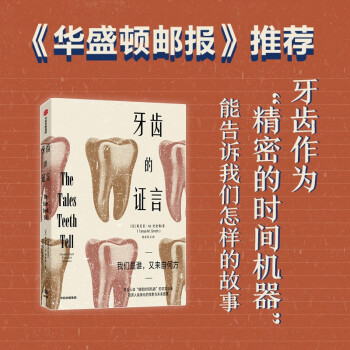 牙齿的证言 我们是谁，又来自何方 破译人类演化的奥秘 下载