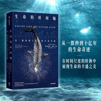 生命的时间轴  用时间去理解生命  尼古拉斯·P. 莫尼 著  中信出版 下载