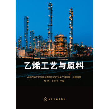 乙烯工艺与原料 下载