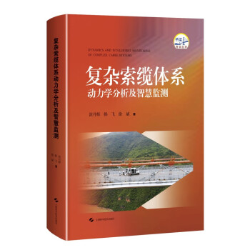 复杂索缆体系动力学分析及智慧监测 下载