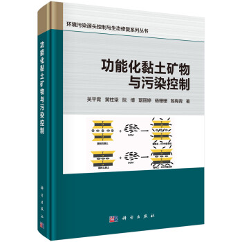 功能化黏土矿物与污染控制 下载