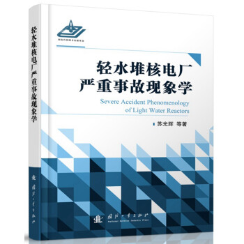 轻水堆核电厂严重事故现象学 下载
