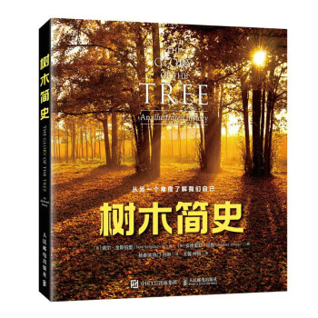 树木简史（异步图书出品） 下载