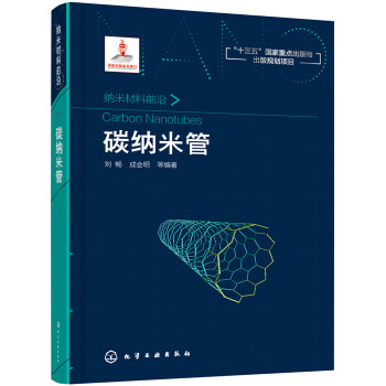 纳米材料前沿--碳纳米管 下载