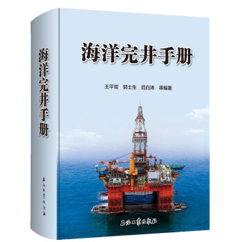 海洋完井手册 下载