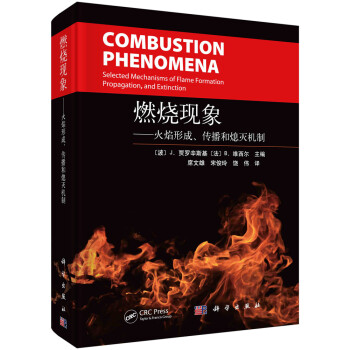燃烧现象——火焰形成、传播和熄灭机制 下载