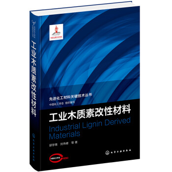 先进化工材料关键技术丛书--工业木质素改性材料 下载