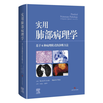 实用肺部病理学——基于6种病理模式的诊断方法 下载