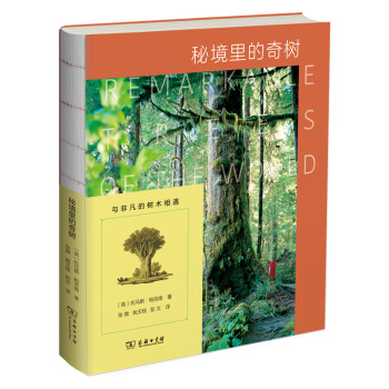 秘境里的奇树 下载