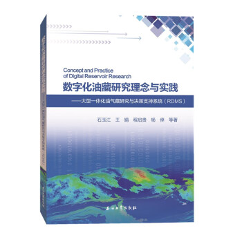 数字化油藏研究理念与实践 下载