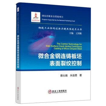 微合金钢连铸板坯表面裂纹控制/钢铁工业协同创新关键共性技术丛书 下载