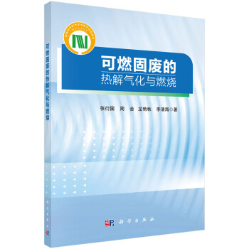 可燃固废的热解气化与燃烧 下载