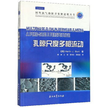 孔隙尺度多相流动/国外油气勘探开发新进展丛书 下载