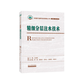 精细分层注水技术 下载