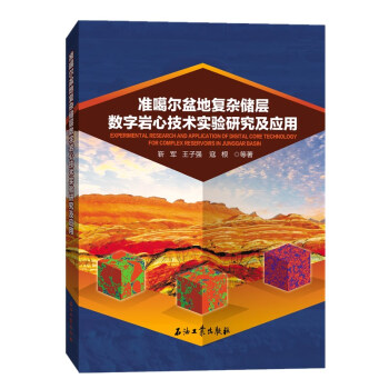 准噶尔盆地复杂储层数字岩心技术实验研究及应用 下载