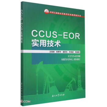 CCUS-EOR实用技术/中国石油提高采收率技术新进展丛书 下载