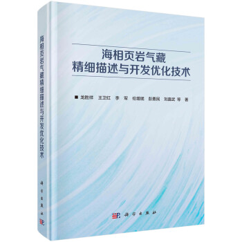 海相页岩气藏精细描述与开发优化技术 下载