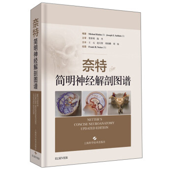 奈特简明神经解剖图谱 下载