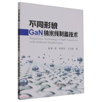 不同形貌GAN纳米线制备技术 下载