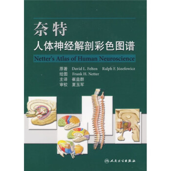 奈特人体神经解剖彩色图谱 下载