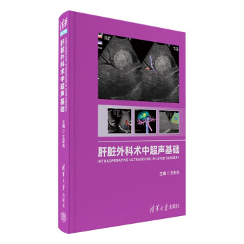 肝脏外科术中超声基础 下载