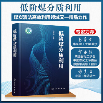 低阶煤分质利用 下载