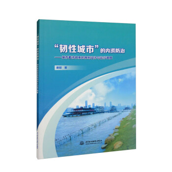 “韧性城市”的内涝防治：城市蓄涝体系的规划设计与运行调度 下载