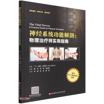 神经系统功能解剖--物理治疗师实用指南 下载