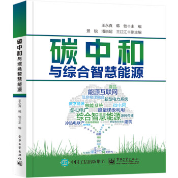 碳中和与综合智慧能源 下载